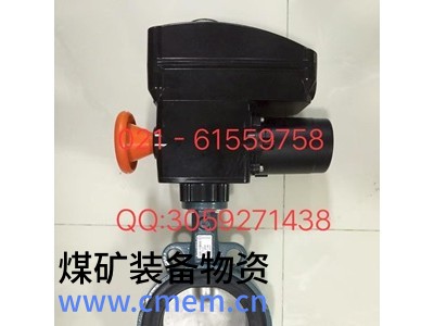 原装正品德国依博罗角行程电动执行器 E50-E210图2