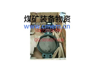 原装正品德国依博罗角行程电动执行器 E50-E210图4