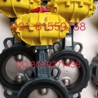 原装正品 德国依博罗EBRO气动扇形蝶阀  价格优惠速发货