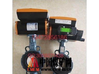 原装正品Z011-A型德国依博罗蝶阀 DN40-DN500规格齐全图4