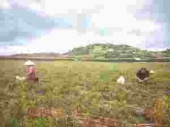 贵阳市探索矿山生态“修复+”融合发展路径