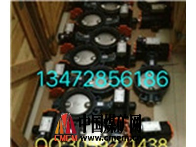 原装正品直销价格优惠德国依博罗厂家直销手柄蝶阀Z011-A图2