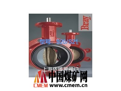美国博雷(Bray)止回阀Check Rite图4