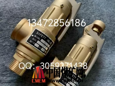 原装正品台湾317青铜止回阀规格齐全速发货图2