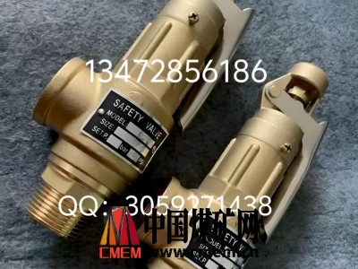 原装正品台湾317疏水阀 ST-8LS规格齐全速发货图4