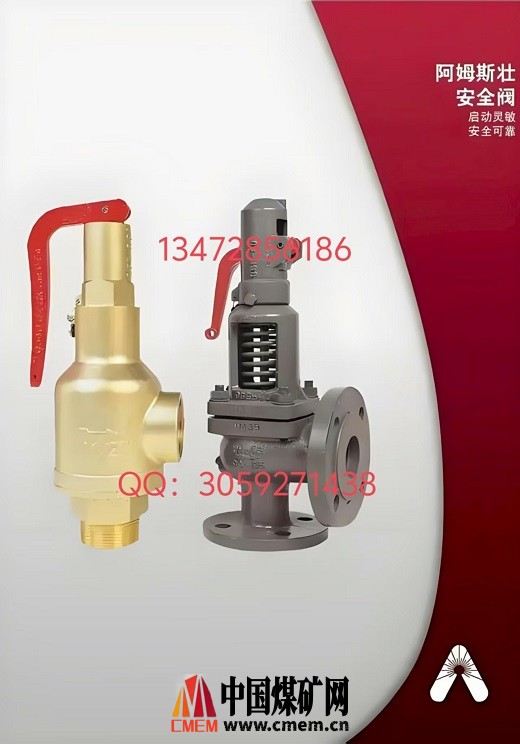 美国阿姆斯壮496-AP全启式安全阀.jpg